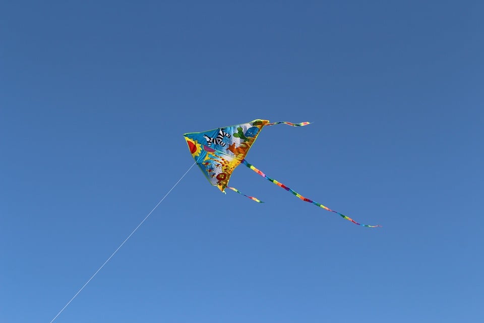 cerf-volant de sport traditionnel chinois