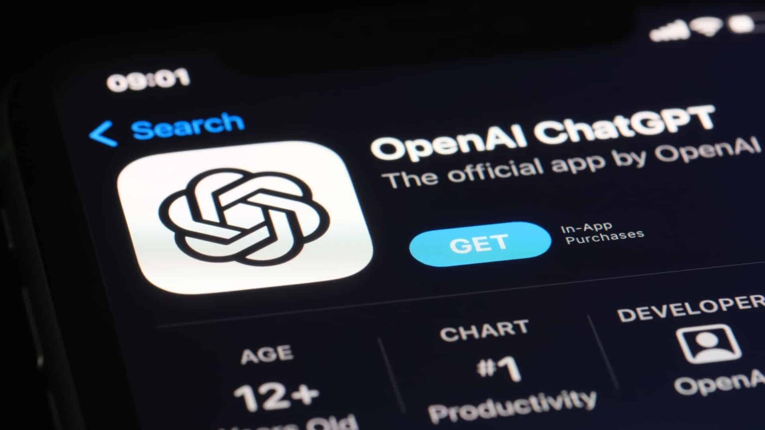 download OpenAI ChatGPT app in China